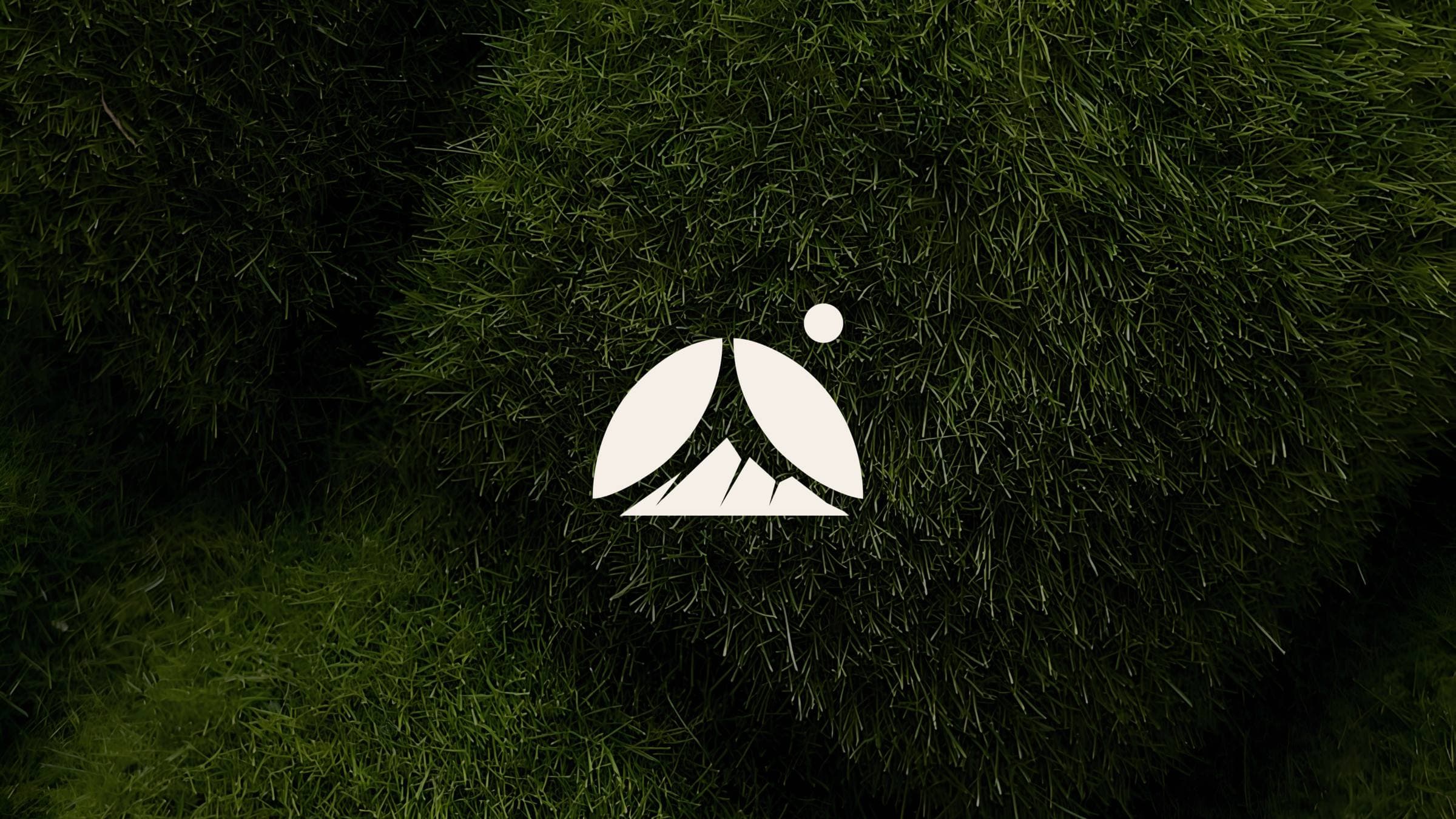 Camping Nigeria: Brand Identity